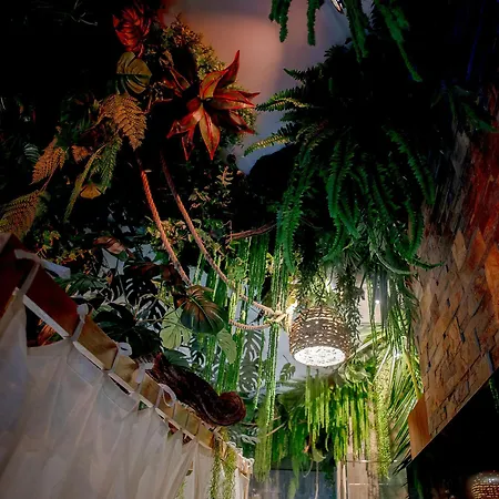 L'amazonia - Jungle * Grenoble