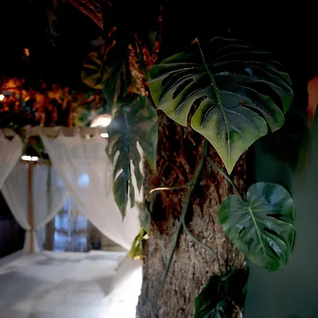 L'amazonia - Jungle Appartement Grenoble