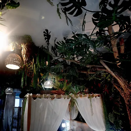L'amazonia - Jungle *